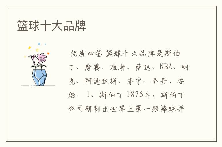 篮球十大品牌