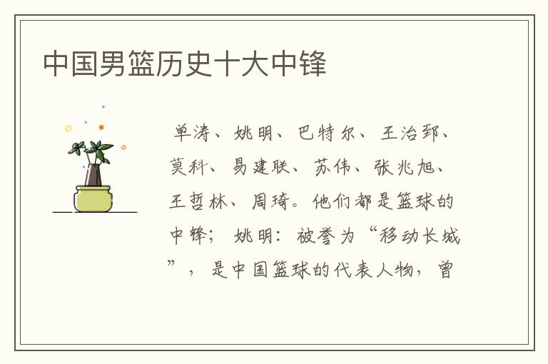 中国男篮历史十大中锋