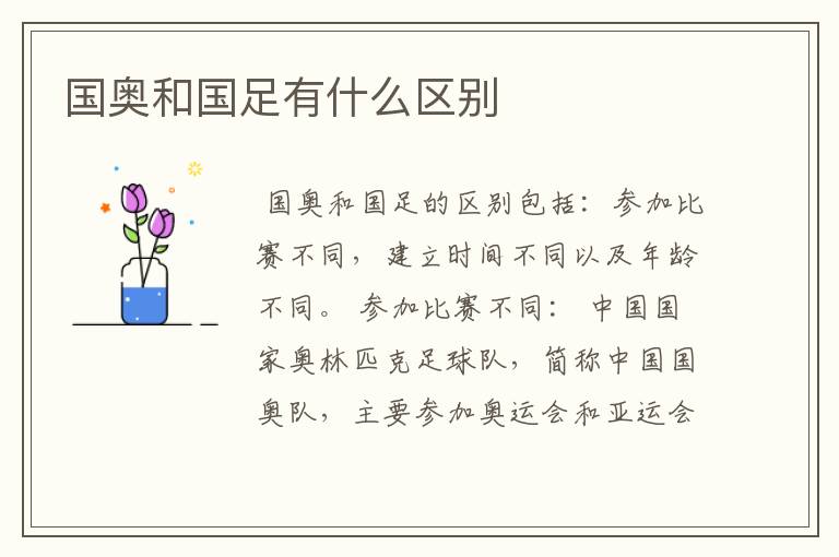 国奥和国足有什么区别