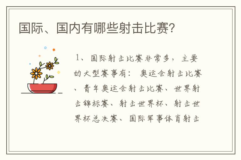 国际、国内有哪些射击比赛？