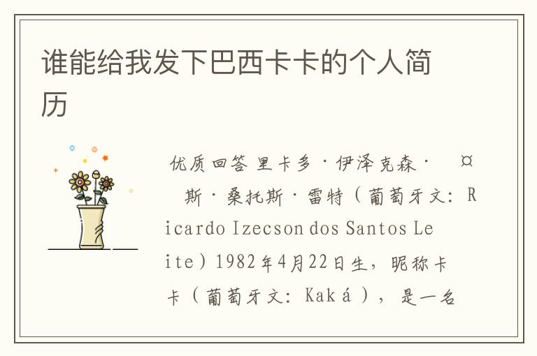 谁能给我发下巴西卡卡的个人简历