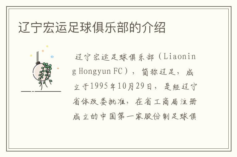 辽宁宏运足球俱乐部的介绍