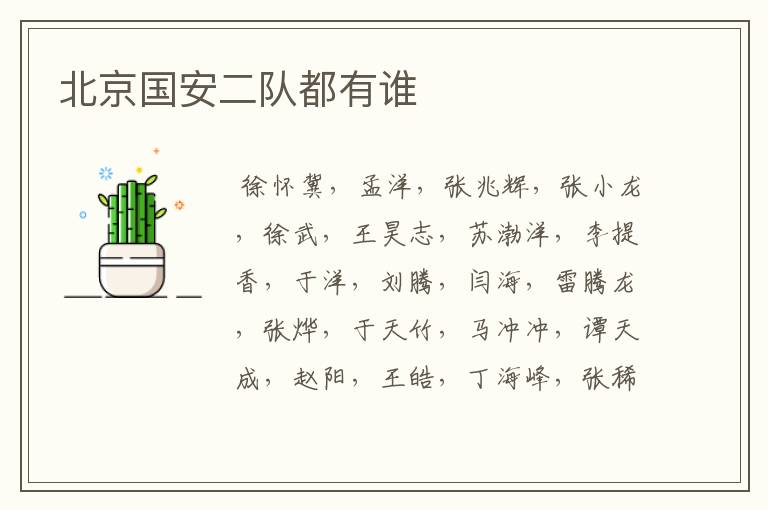 北京国安二队都有谁