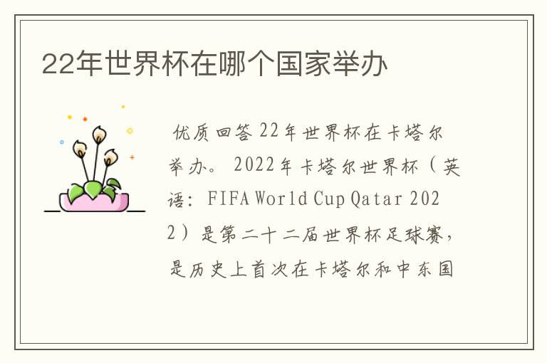 22年世界杯在哪个国家举办