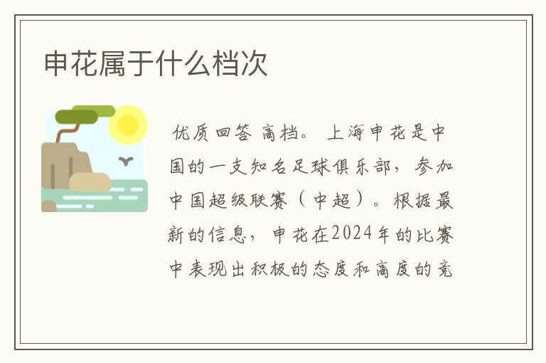 申花属于什么档次