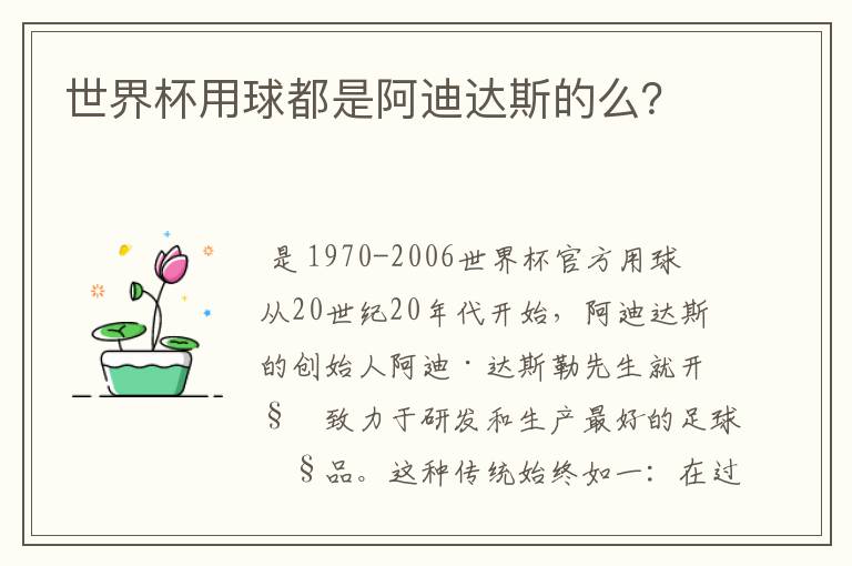 世界杯用球都是阿迪达斯的么？