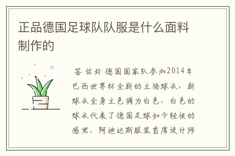 正品德国足球队队服是什么面料制作的