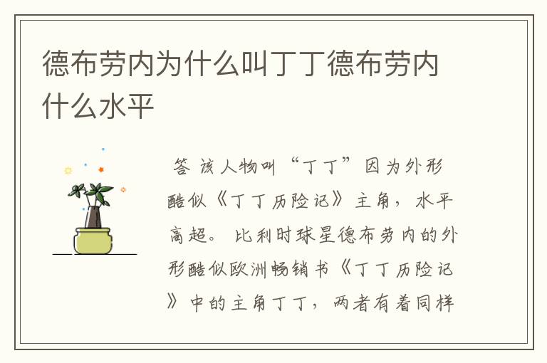 德布劳内为什么叫丁丁德布劳内什么水平