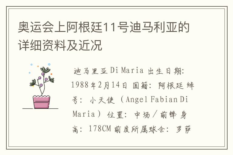奥运会上阿根廷11号迪马利亚的详细资料及近况