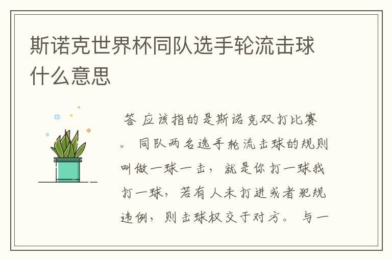 斯诺克世界杯同队选手轮流击球什么意思
