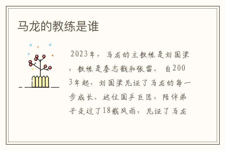 马龙的教练是谁