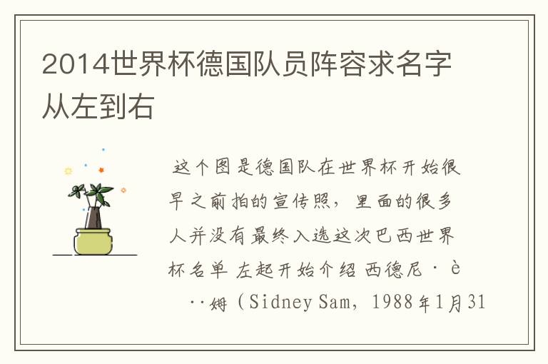 2014世界杯德国队员阵容求名字从左到右