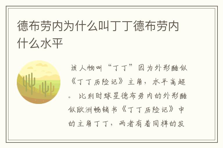 德布劳内为什么叫丁丁德布劳内什么水平