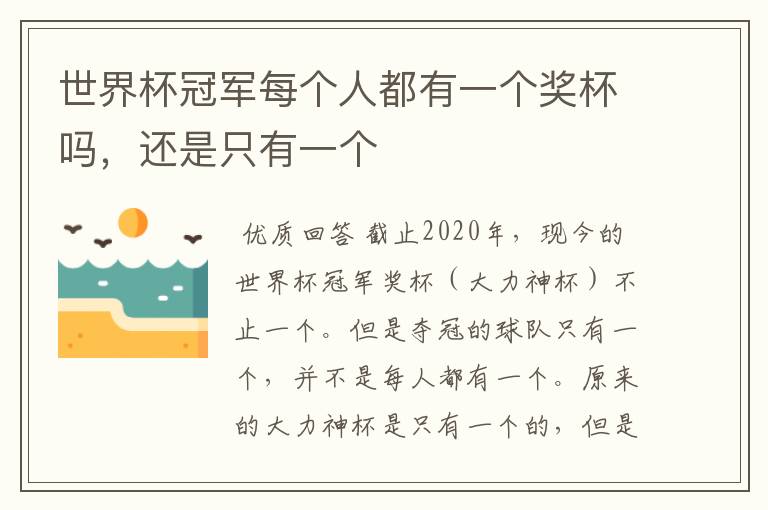 世界杯冠军每个人都有一个奖杯吗,还是只有一个
