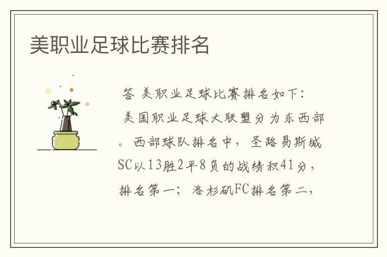 美职业足球比赛排名