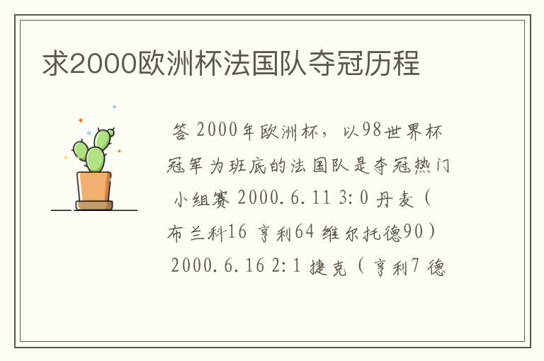 求2000欧洲杯法国队夺冠历程