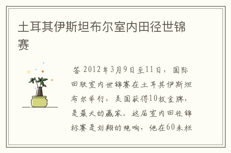 土耳其伊斯坦布尔室内田径世锦赛