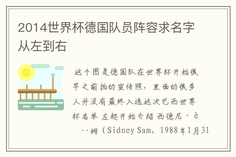2014世界杯德国队员阵容求名字从左到右