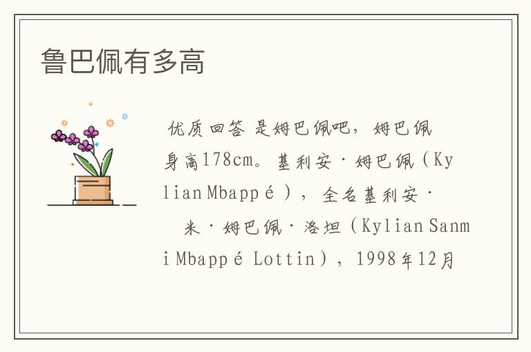 鲁巴佩有多高