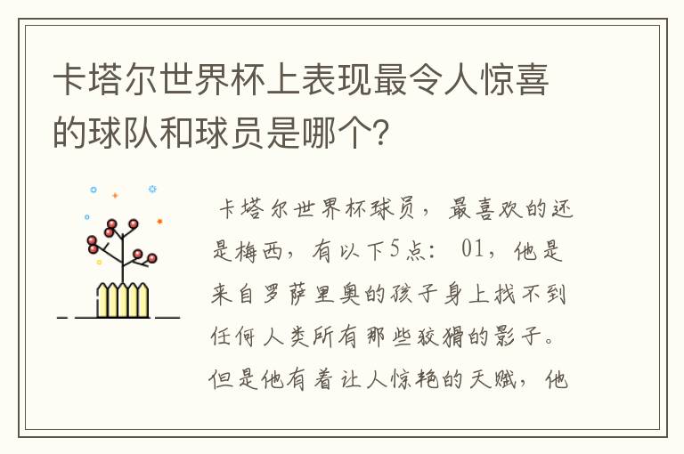 卡塔尔世界杯上表现最令人惊喜的球队和球员是哪个?
