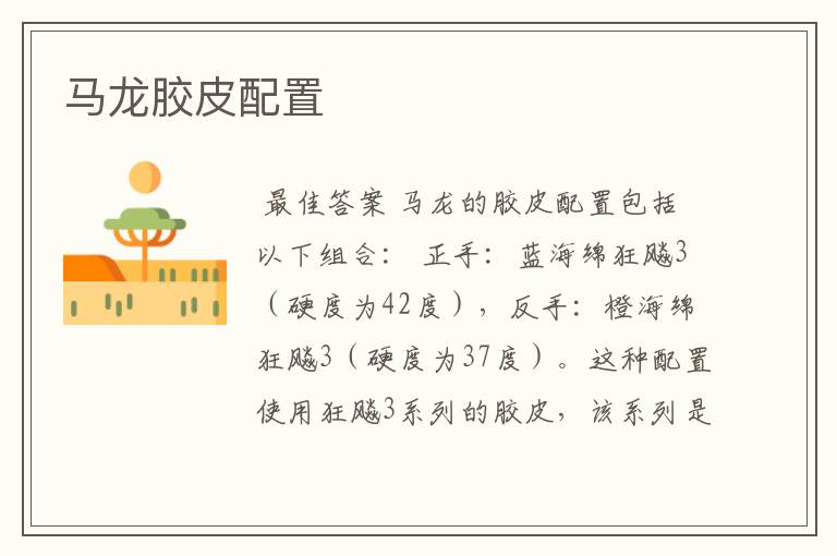 马龙胶皮配置