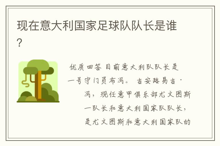 现在意大利国家足球队队长是谁?
