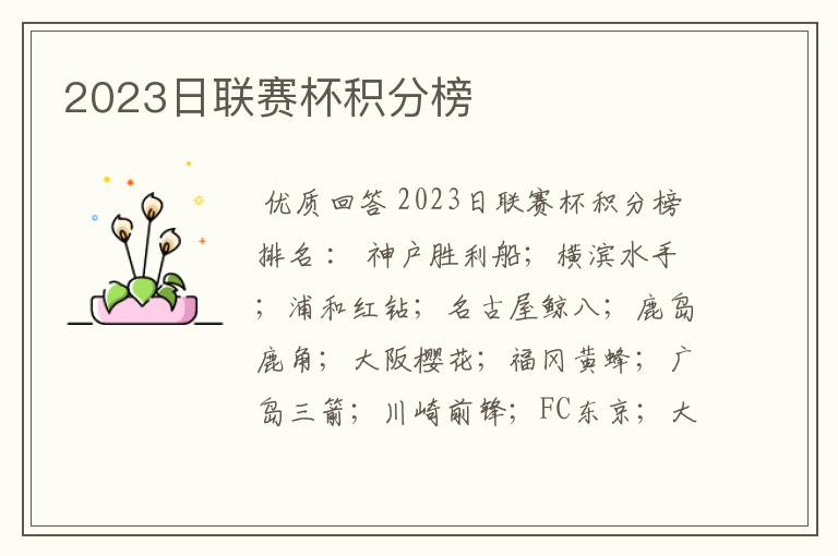 2023日联赛杯积分榜