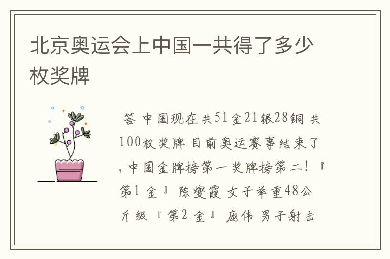 北京奥运会上中国一共得了多少枚奖牌