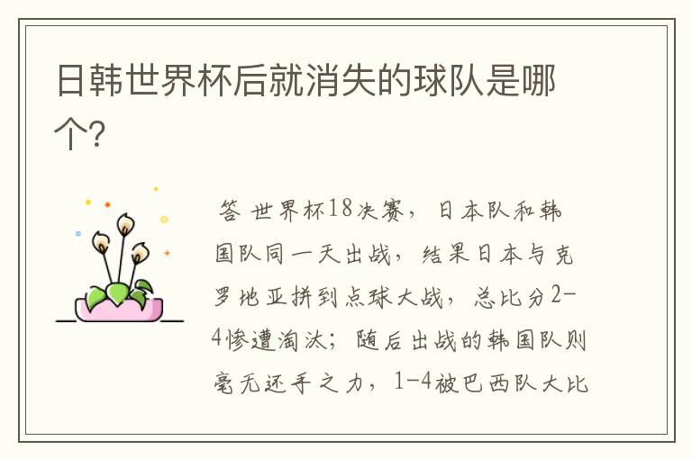 日韩世界杯后就消失的球队是哪个?