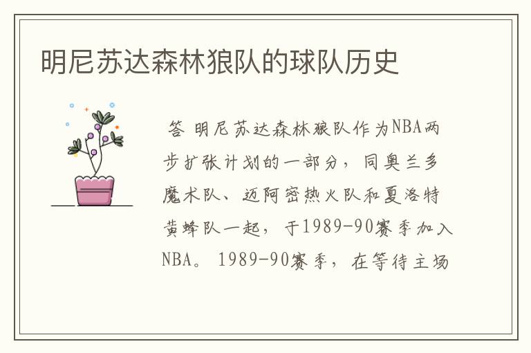明尼苏达森林狼队的球队历史