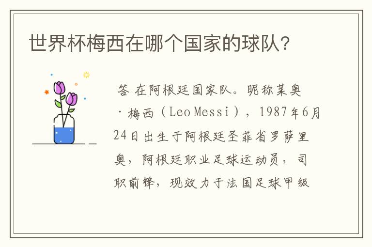 世界杯梅西在哪个国家的球队?