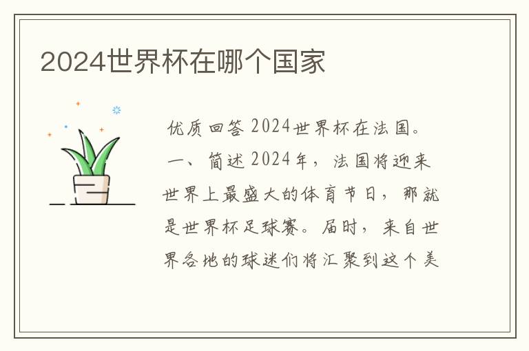 2024世界杯在哪个国家
