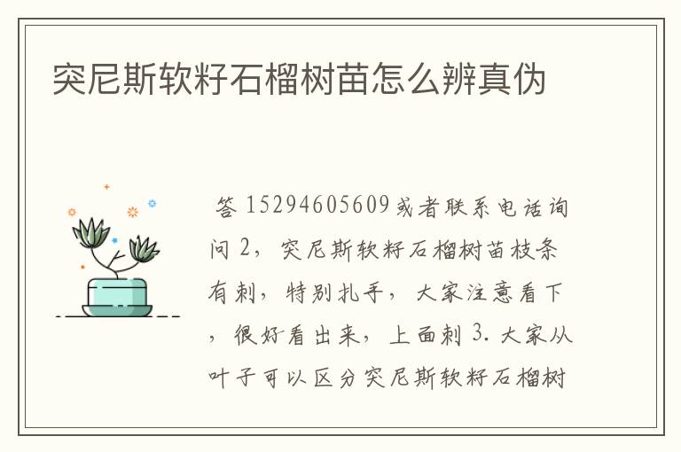 突尼斯软籽石榴树苗怎么辨真伪