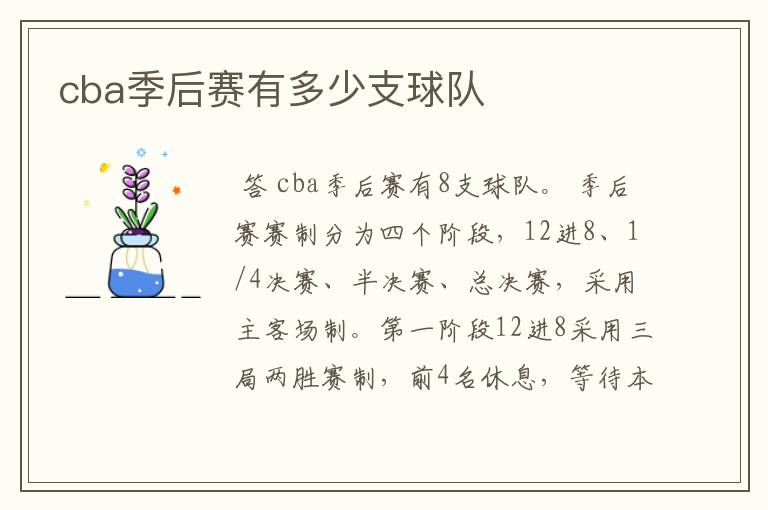 cba季后赛有多少支球队