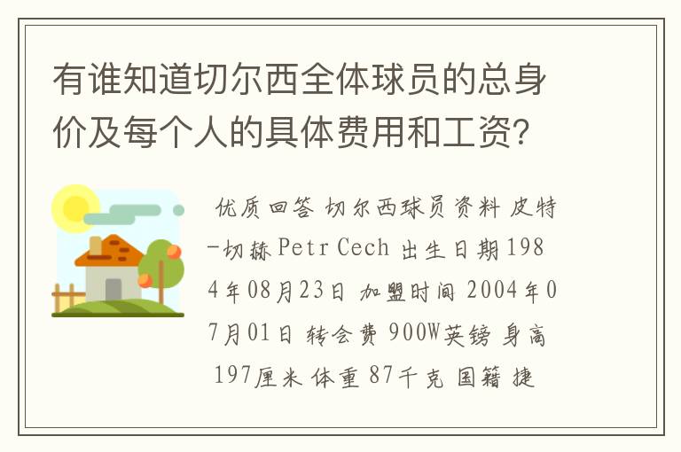 有谁知道切尔西全体球员的总身价及每个人的具体费用和工资?