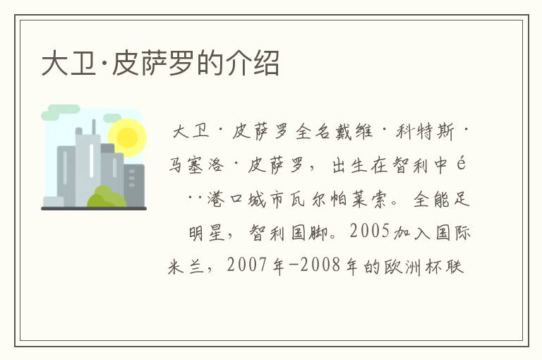 大卫·皮萨罗的介绍