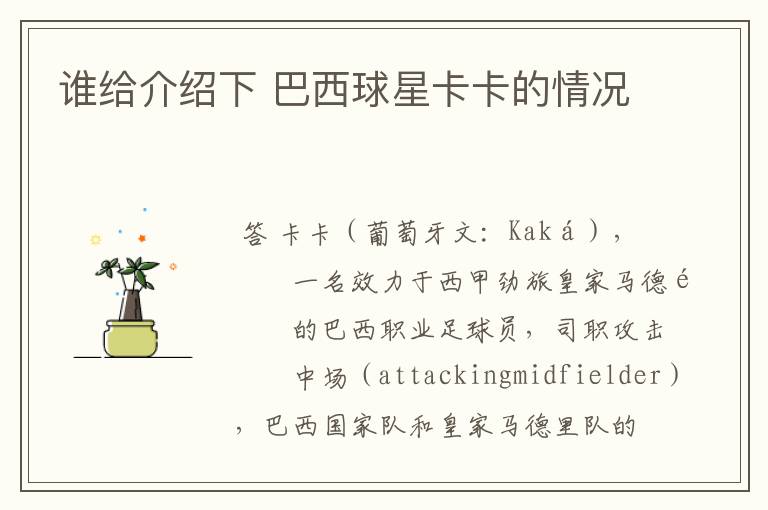 谁给介绍下 巴西球星卡卡的情况