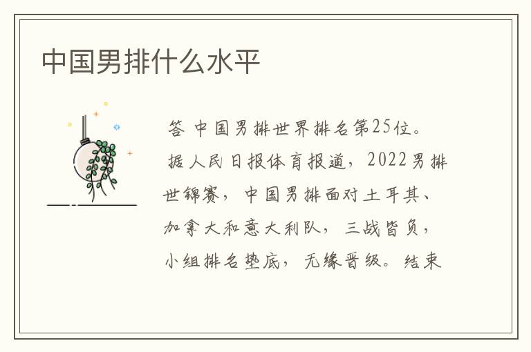 中国男排什么水平