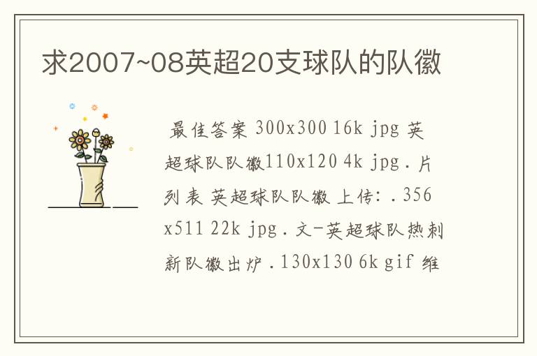 求2007~08英超20支球队的队徽