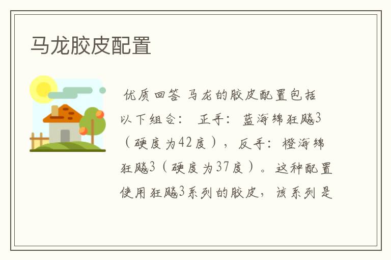 马龙胶皮配置