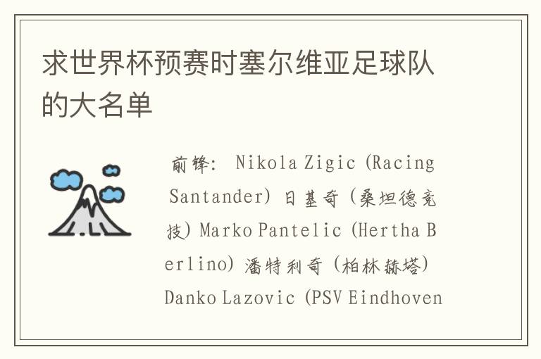 求世界杯预赛时塞尔维亚足球队的大名单