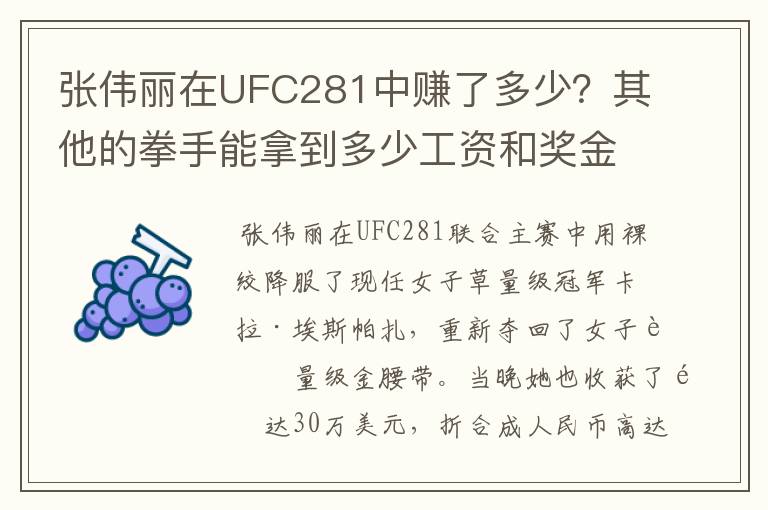 张伟丽在UFC281中赚了多少?其他的拳手能拿到多少工资和奖金?