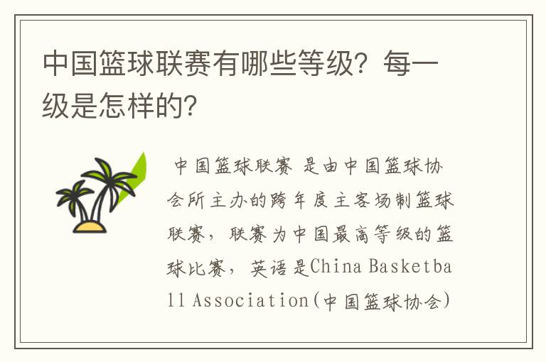 中国篮球联赛有哪些等级?每一级是怎样的?