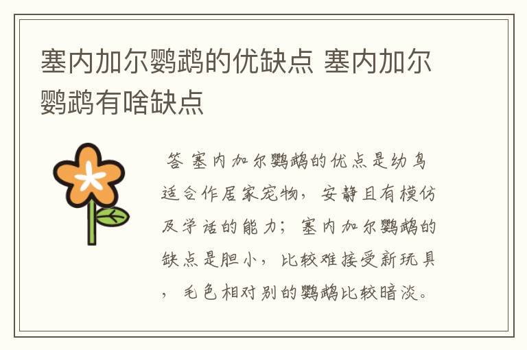 塞内加尔鹦鹉的优缺点 塞内加尔鹦鹉有啥缺点