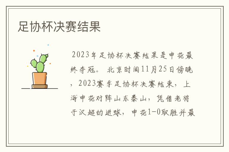 足协杯决赛结果