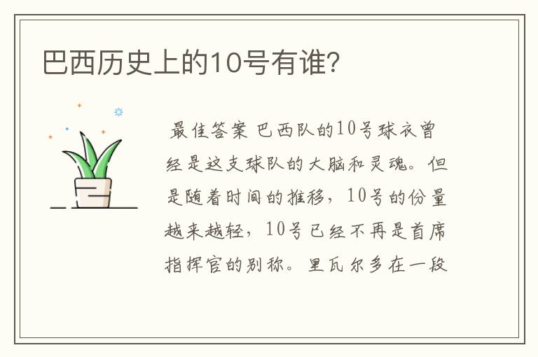 巴西历史上的10号有谁?