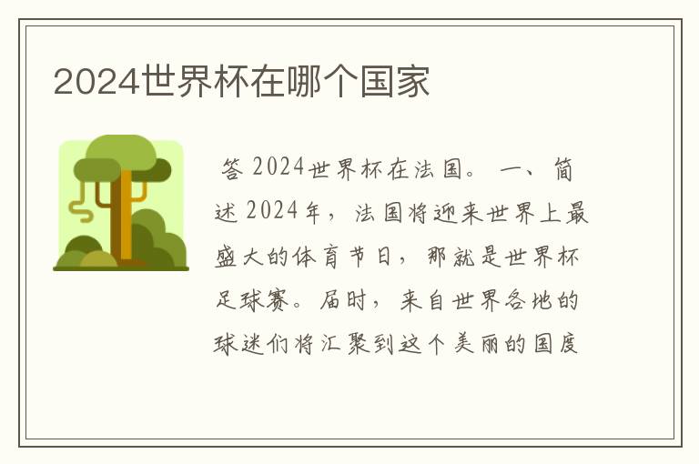 2024世界杯在哪个国家