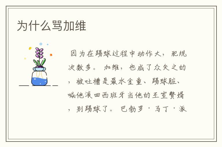 为什么骂加维