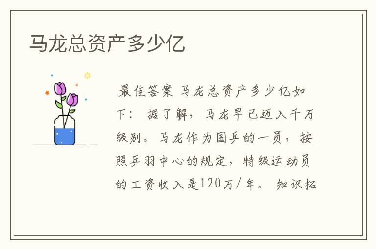 马龙总资产多少亿
