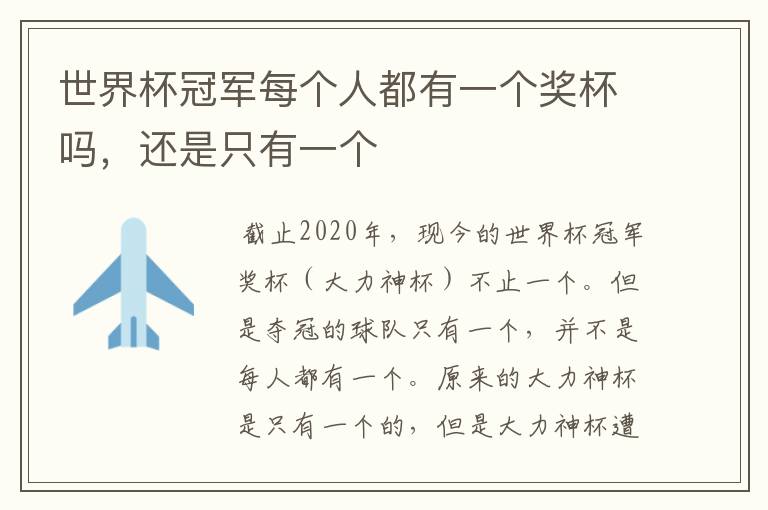 世界杯冠军每个人都有一个奖杯吗,还是只有一个